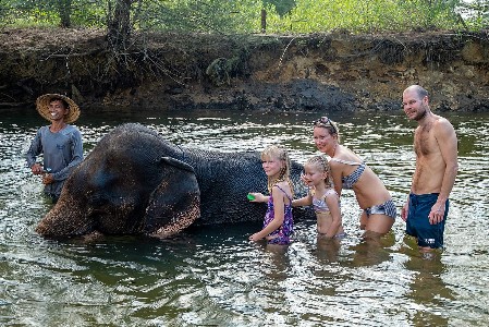 Elefanten und Urlauber beim Baden