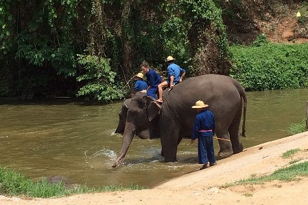 Elefanten Hospital in Lampang