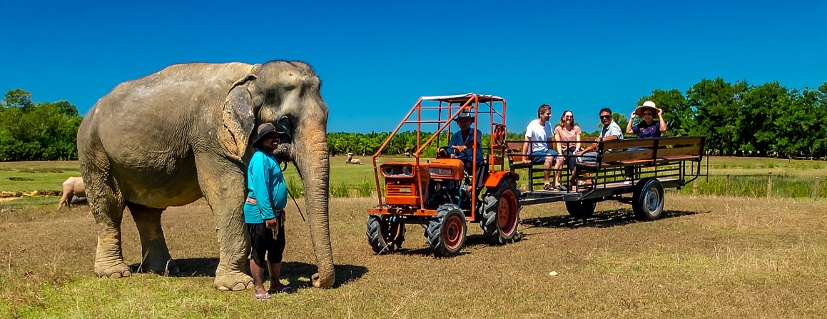 Traktorfahrt im Elefanten Camp