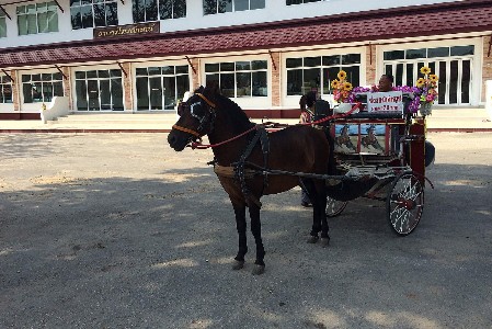 Pferdekutsche in Lampang
